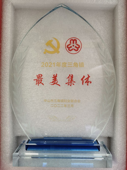 2021年度三角镇最美集体
